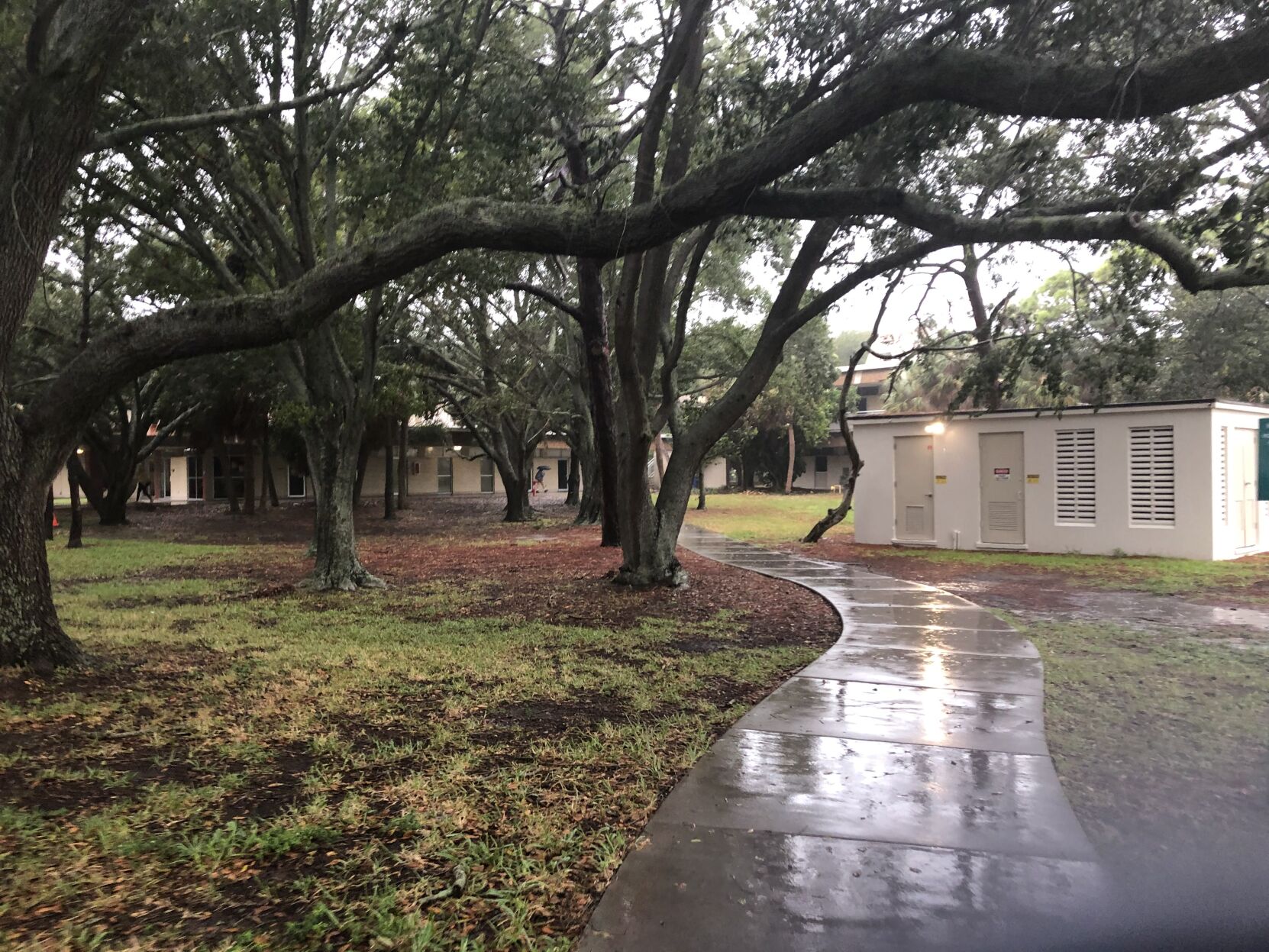 Cobb Walkway Rain